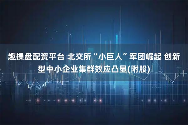 趣操盘配资平台 北交所“小巨人”军团崛起 创新型中小企业集群效应凸显(附股)