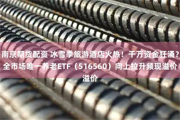 南京期货配资 冰雪季旅游酒店火热!千万资金狂涌?全市场唯一养老ETF(516560)向上拉升频现溢价